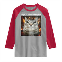 Rage Is Consuming Me Cat Raglan Shirt Funny Weird Humor Silly Cat Meme - Wonder Print Shop