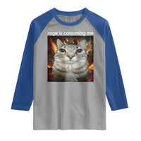 Rage Is Consuming Me Cat Raglan Shirt Funny Weird Humor Silly Cat Meme - Wonder Print Shop