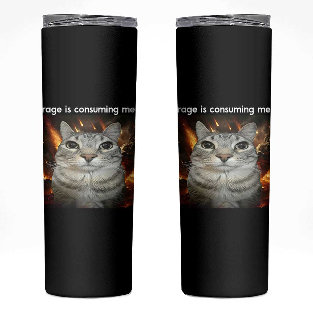 Rage Is Consuming Me Cat Skinny Tumbler Funny Weird Humor Silly Cat Meme - Wonder Print Shop