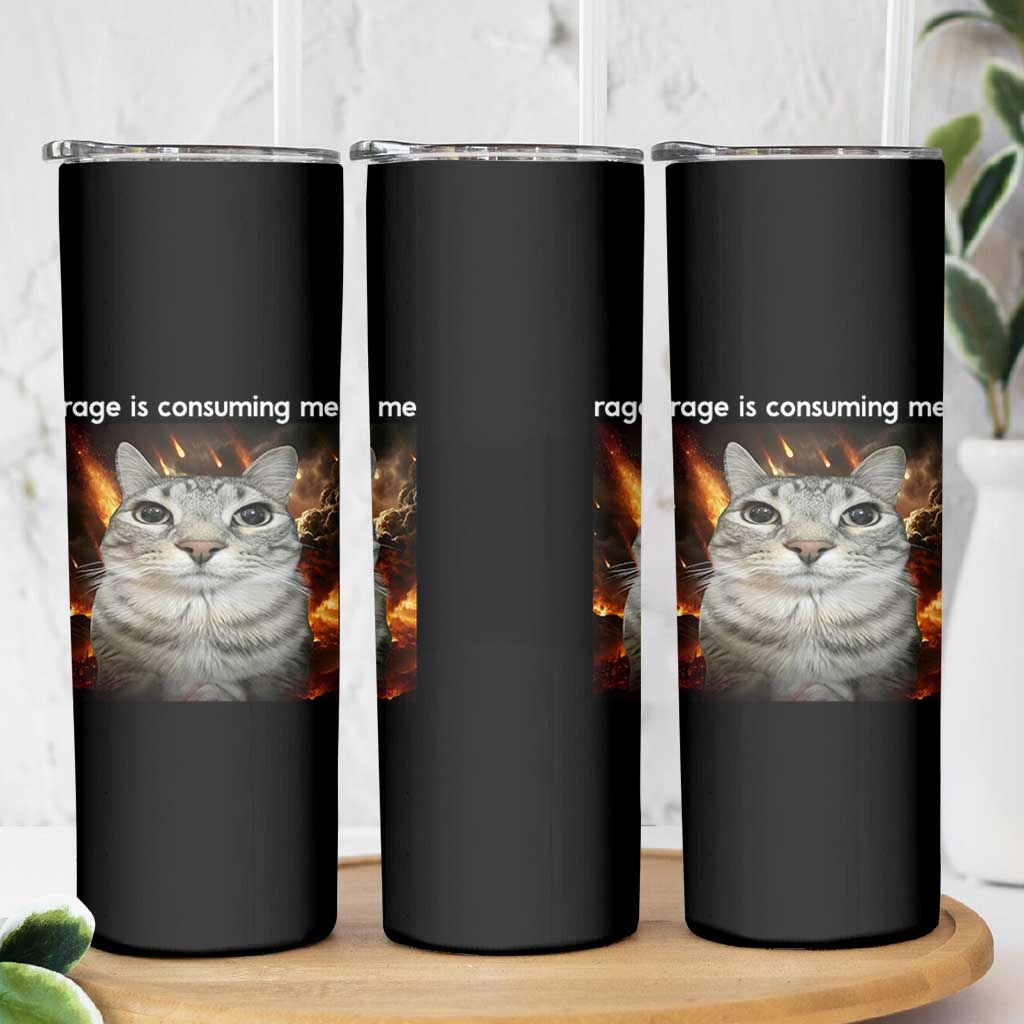 Rage Is Consuming Me Cat Skinny Tumbler Funny Weird Humor Silly Cat Meme - Wonder Print Shop