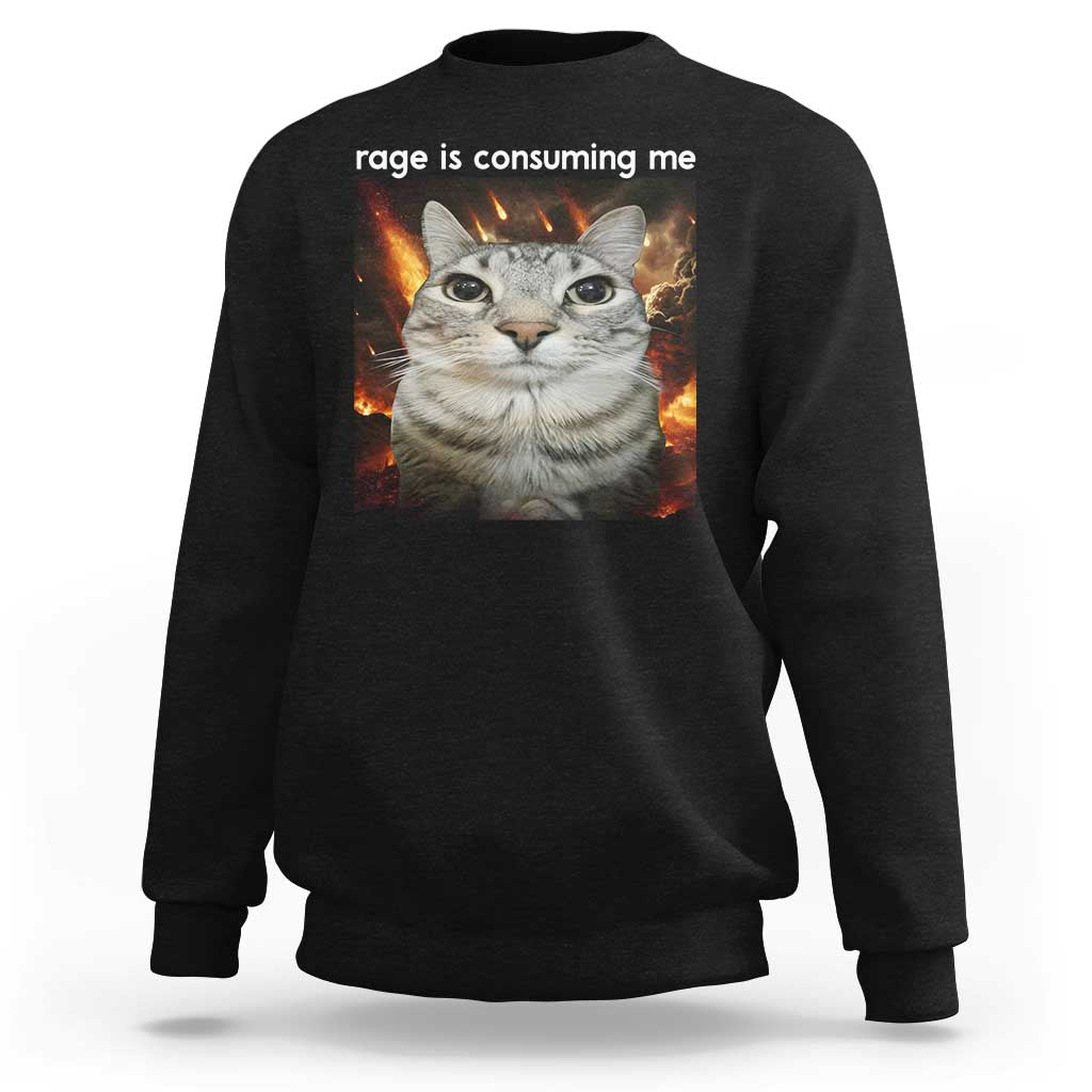 Rage Is Consuming Me Cat Sweatshirt Funny Weird Humor Silly Cat Meme - Wonder Print Shop