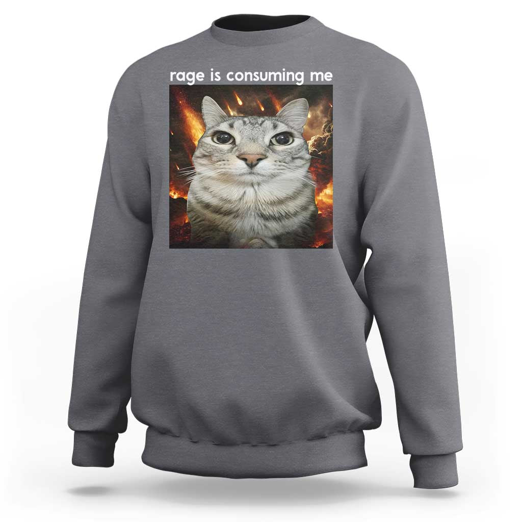 Rage Is Consuming Me Cat Sweatshirt Funny Weird Humor Silly Cat Meme - Wonder Print Shop