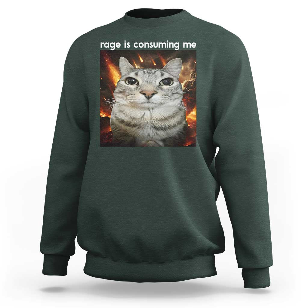 Rage Is Consuming Me Cat Sweatshirt Funny Weird Humor Silly Cat Meme - Wonder Print Shop