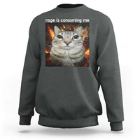 Rage Is Consuming Me Cat Sweatshirt Funny Weird Humor Silly Cat Meme - Wonder Print Shop