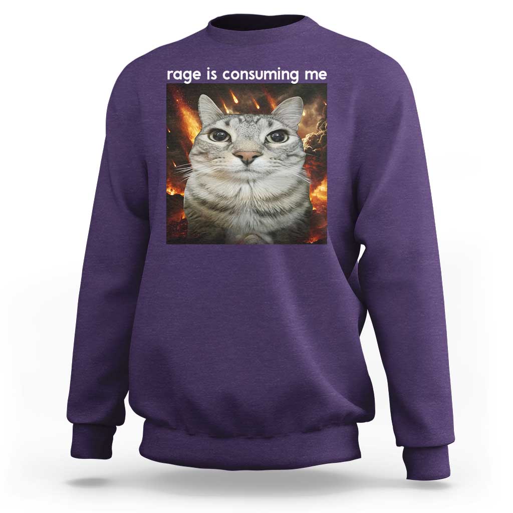 Rage Is Consuming Me Cat Sweatshirt Funny Weird Humor Silly Cat Meme - Wonder Print Shop