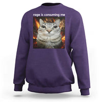 Rage Is Consuming Me Cat Sweatshirt Funny Weird Humor Silly Cat Meme - Wonder Print Shop