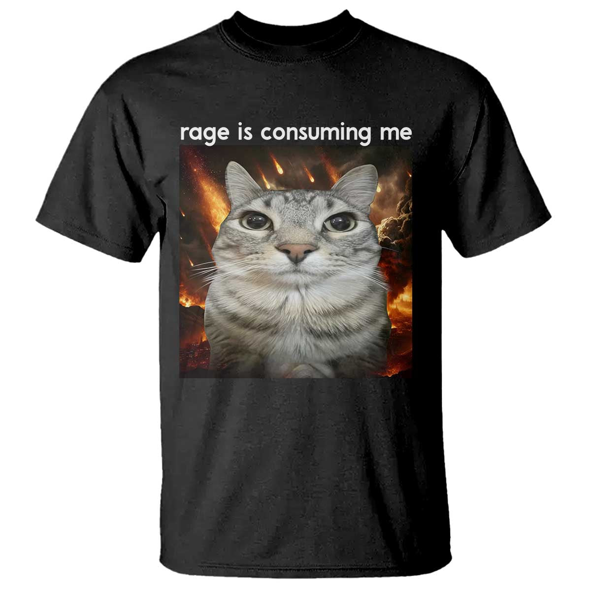 Rage Is Consuming Me Cat T Shirt Funny Weird Humor Silly Cat Meme - Wonder Print Shop