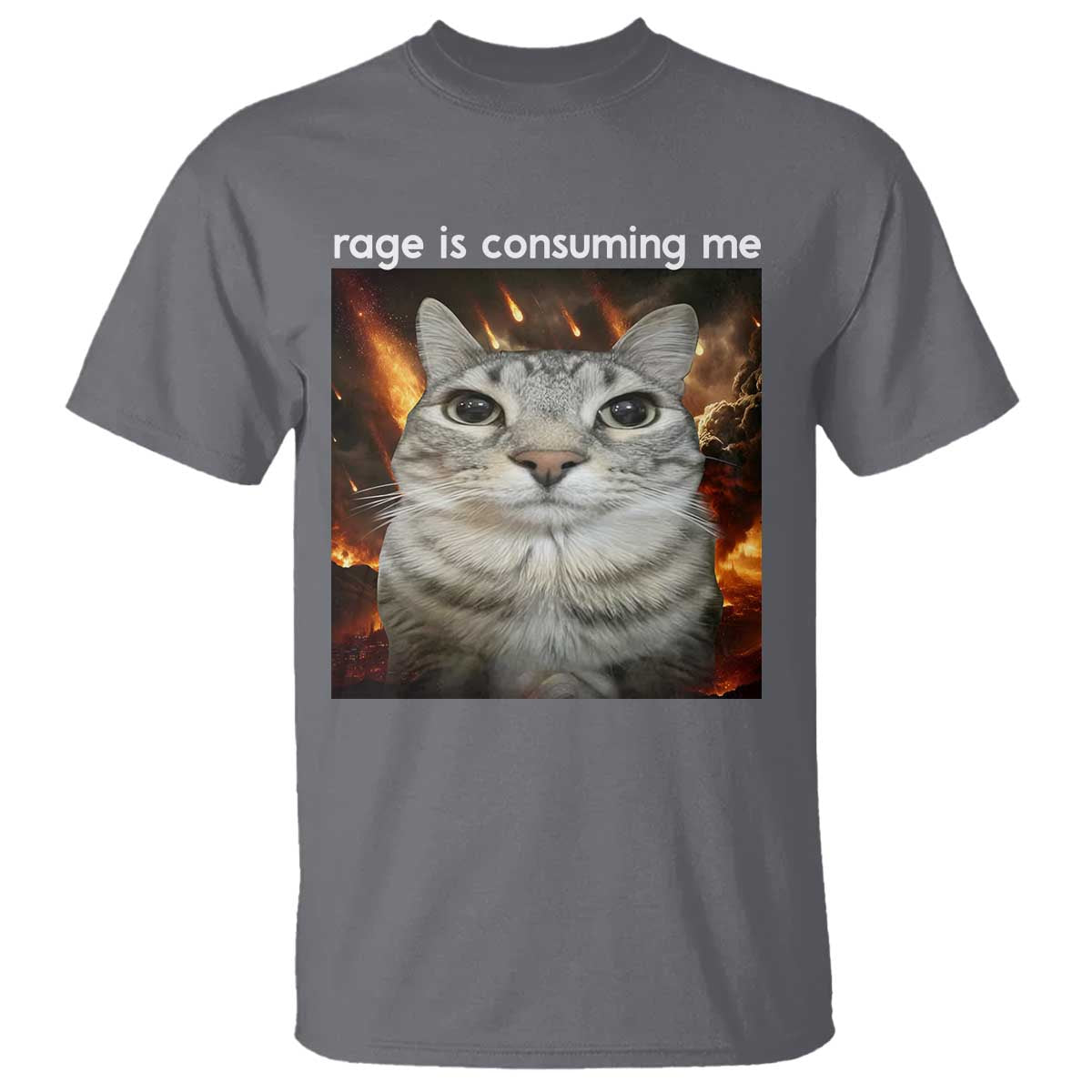 Rage Is Consuming Me Cat T Shirt Funny Weird Humor Silly Cat Meme - Wonder Print Shop