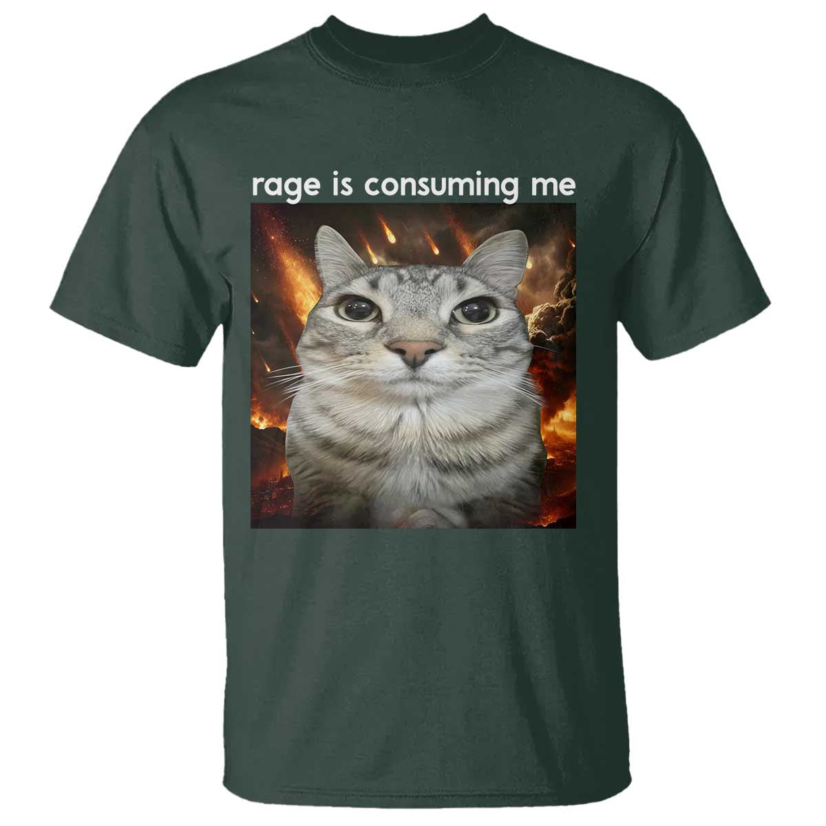 Rage Is Consuming Me Cat T Shirt Funny Weird Humor Silly Cat Meme - Wonder Print Shop