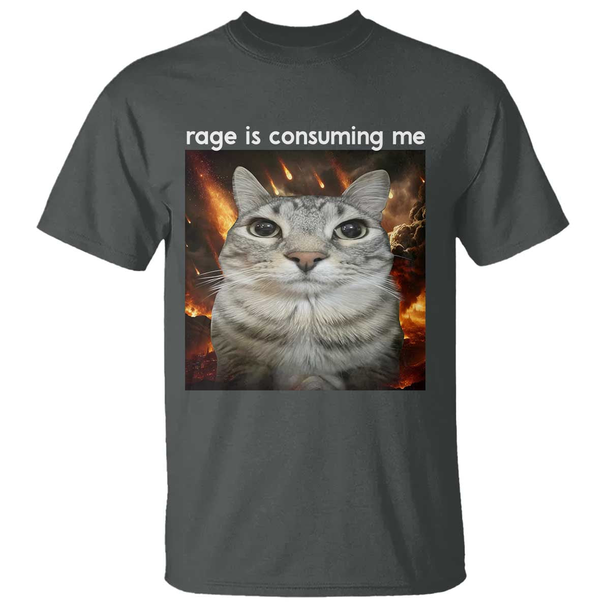 Rage Is Consuming Me Cat T Shirt Funny Weird Humor Silly Cat Meme - Wonder Print Shop