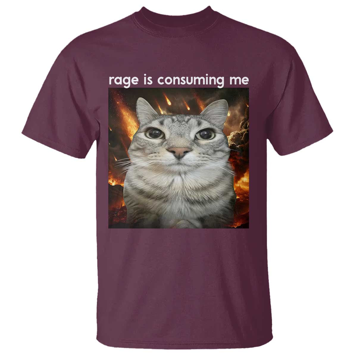 Rage Is Consuming Me Cat T Shirt Funny Weird Humor Silly Cat Meme - Wonder Print Shop