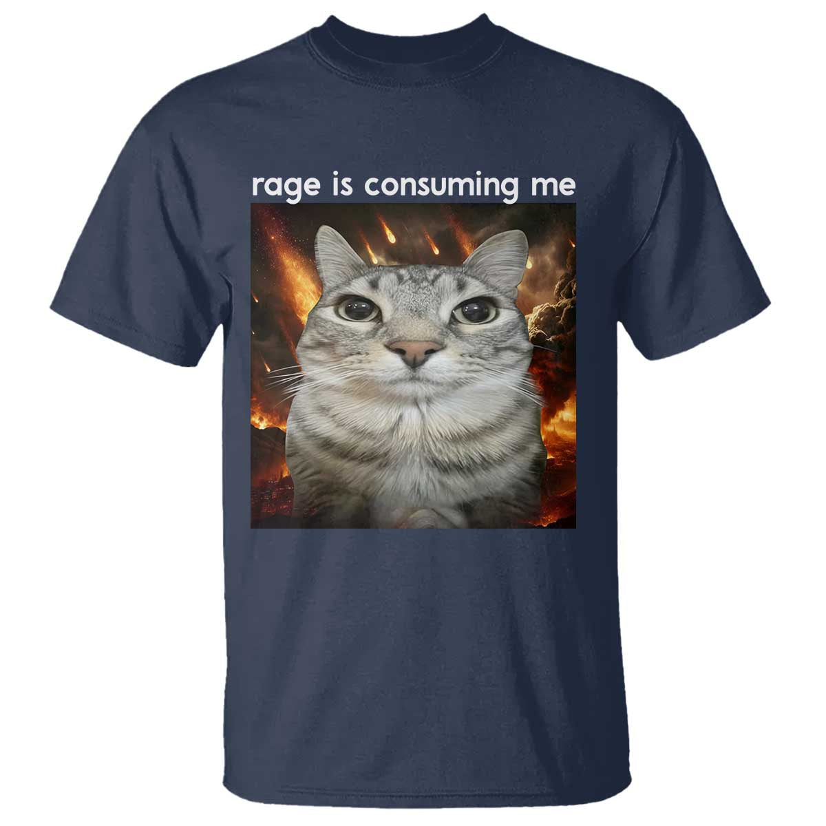 Rage Is Consuming Me Cat T Shirt Funny Weird Humor Silly Cat Meme - Wonder Print Shop