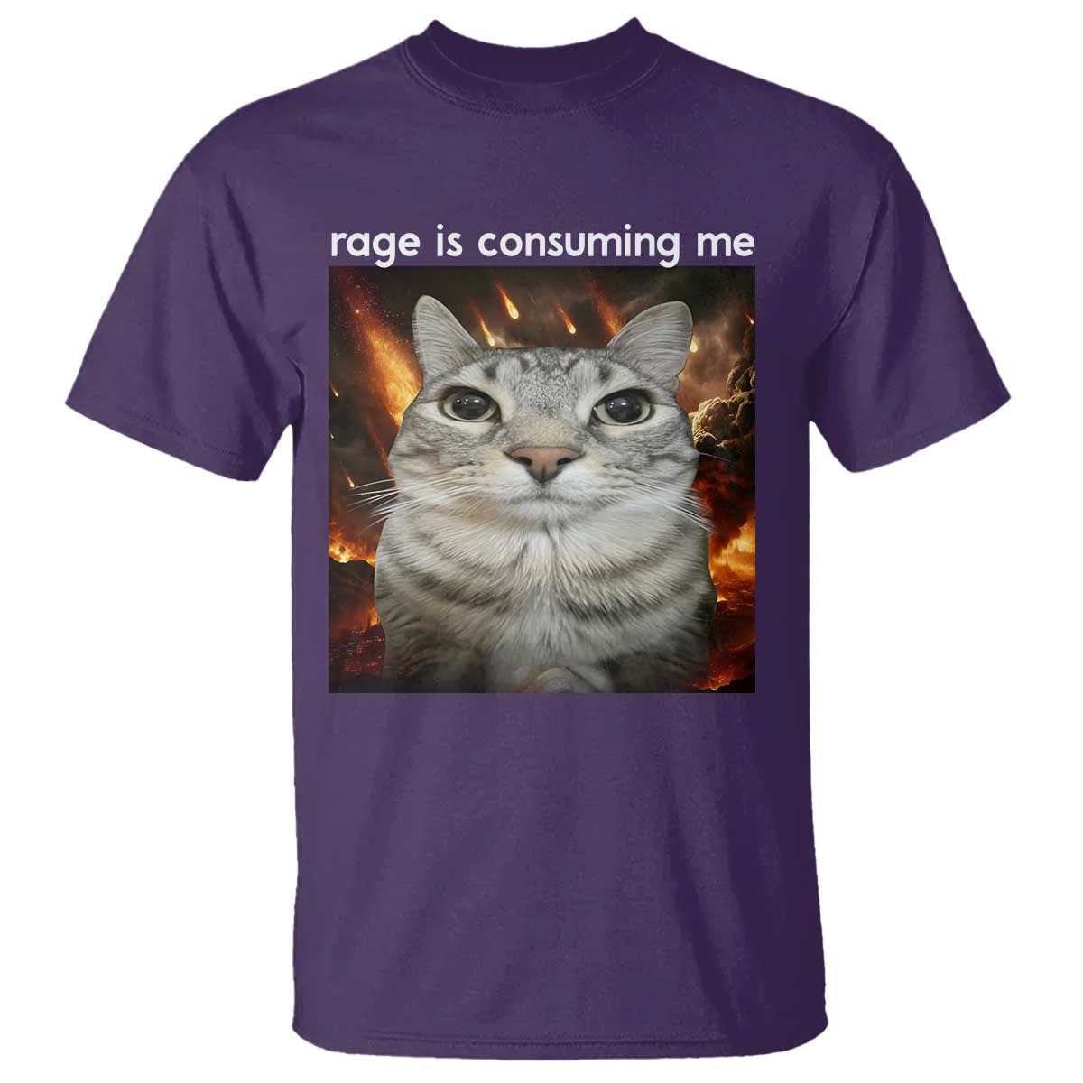 Rage Is Consuming Me Cat T Shirt Funny Weird Humor Silly Cat Meme - Wonder Print Shop