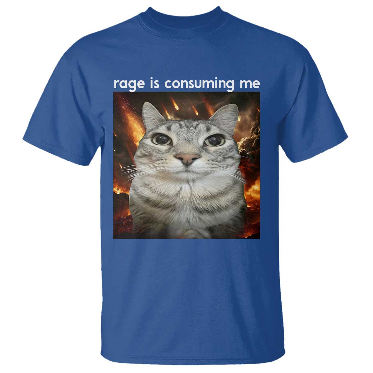 Rage Is Consuming Me Cat T Shirt Funny Weird Humor Silly Cat Meme - Wonder Print Shop