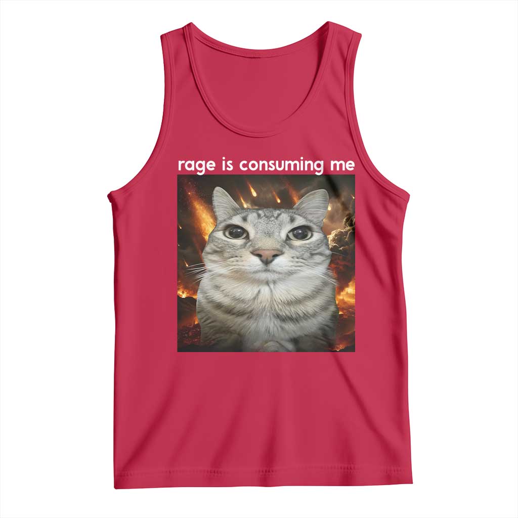 Rage Is Consuming Me Cat Tank Top Funny Weird Humor Silly Cat Meme - Wonder Print Shop