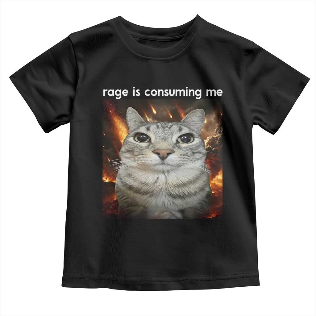 Rage Is Consuming Me Cat Toddler T Shirt Funny Weird Humor Silly Cat Meme - Wonder Print Shop