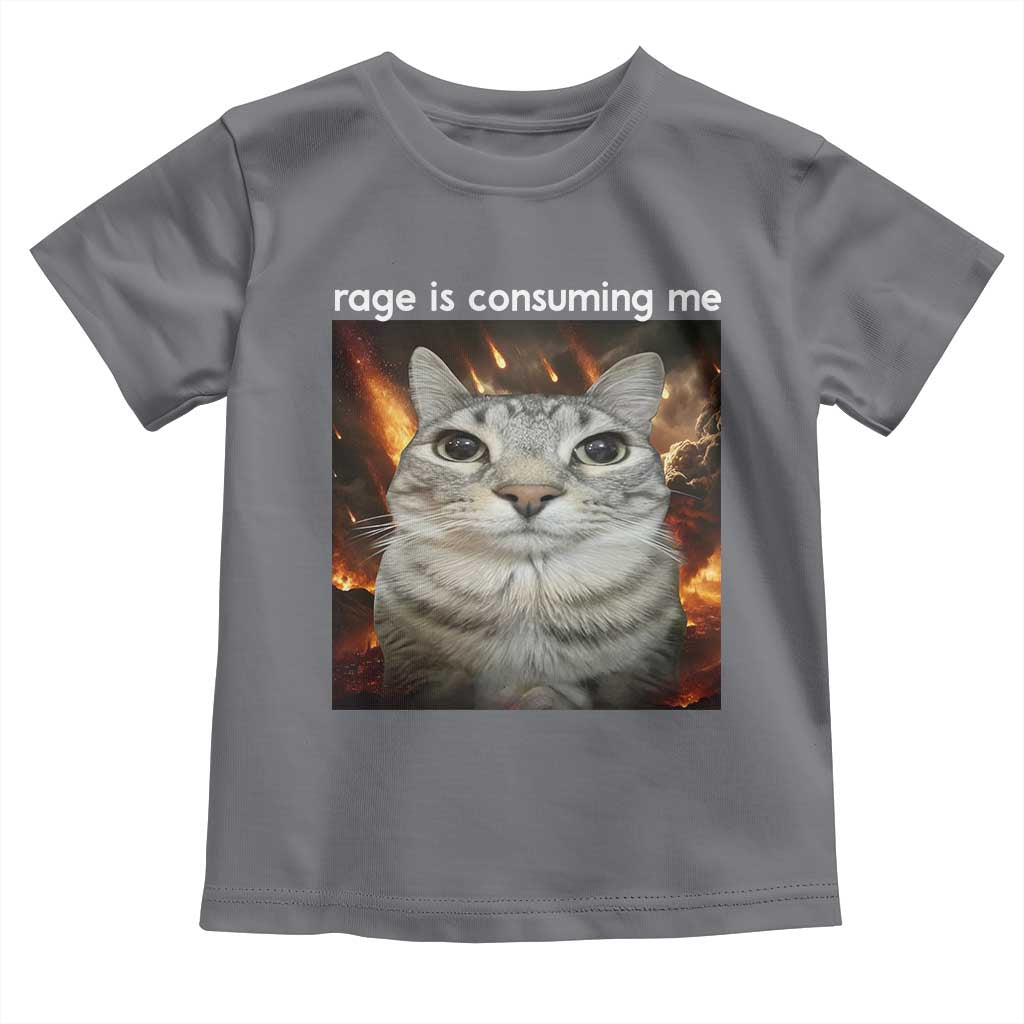 Rage Is Consuming Me Cat Toddler T Shirt Funny Weird Humor Silly Cat Meme - Wonder Print Shop
