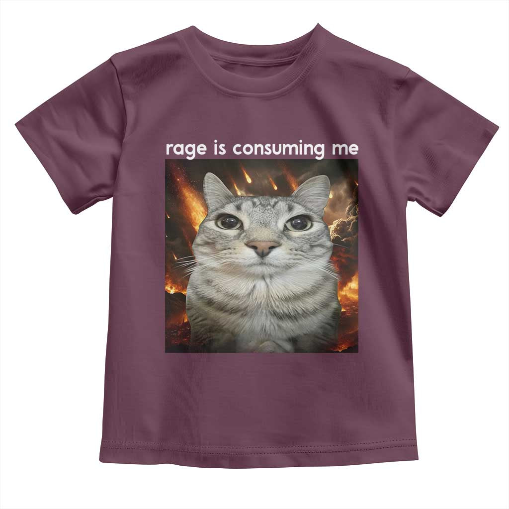 Rage Is Consuming Me Cat Toddler T Shirt Funny Weird Humor Silly Cat Meme - Wonder Print Shop