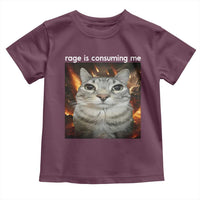 Rage Is Consuming Me Cat Toddler T Shirt Funny Weird Humor Silly Cat Meme - Wonder Print Shop