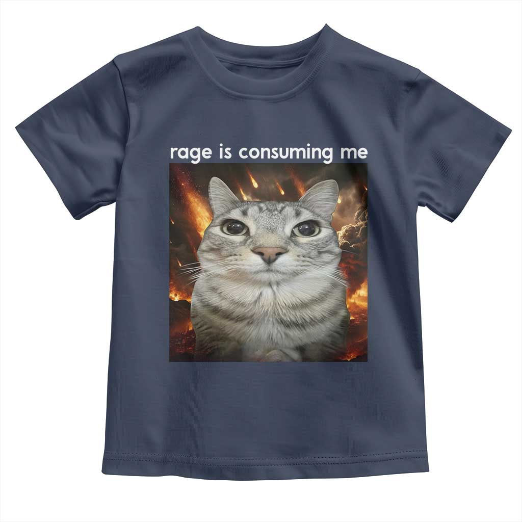 Rage Is Consuming Me Cat Toddler T Shirt Funny Weird Humor Silly Cat Meme - Wonder Print Shop