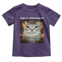 Rage Is Consuming Me Cat Toddler T Shirt Funny Weird Humor Silly Cat Meme - Wonder Print Shop