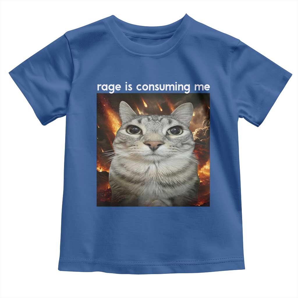 Rage Is Consuming Me Cat Toddler T Shirt Funny Weird Humor Silly Cat Meme - Wonder Print Shop