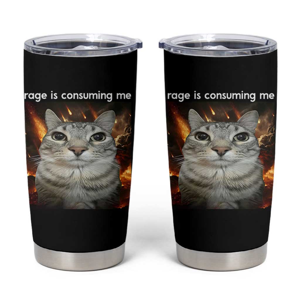 Rage Is Consuming Me Cat Tumbler Cup Funny Weird Humor Silly Cat Meme - Wonder Print Shop