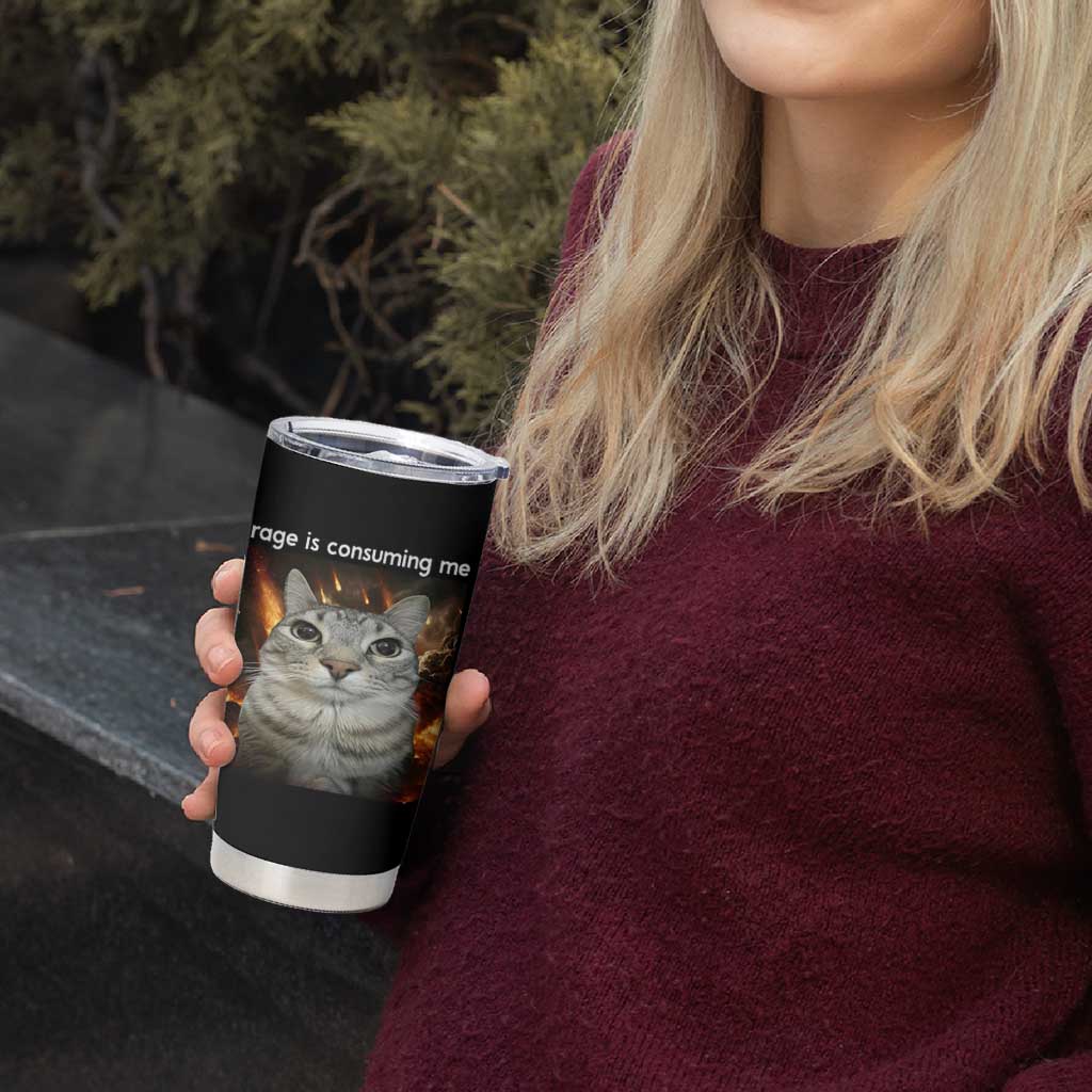 Rage Is Consuming Me Cat Tumbler Cup Funny Weird Humor Silly Cat Meme - Wonder Print Shop