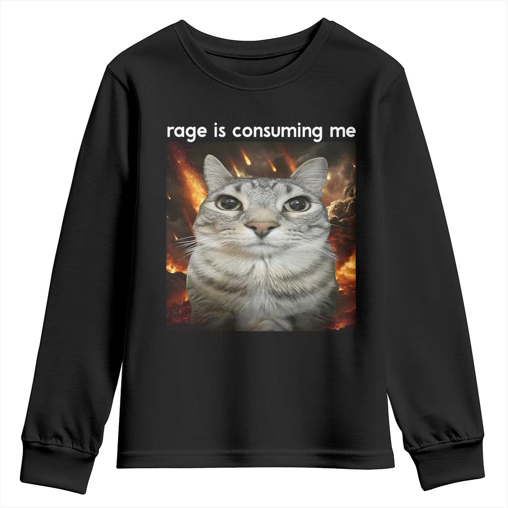 Rage Is Consuming Me Cat Youth Sweatshirt Funny Weird Humor Silly Cat Meme - Wonder Print Shop