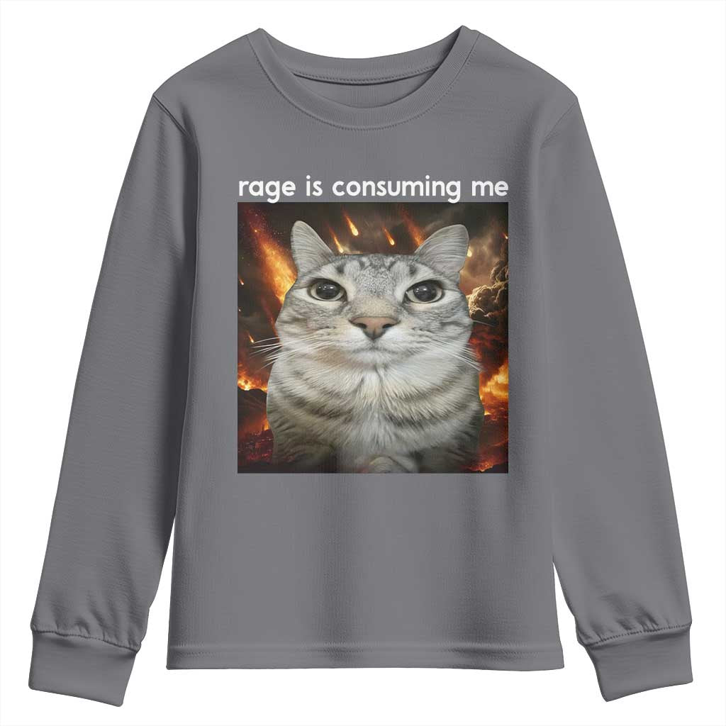 Rage Is Consuming Me Cat Youth Sweatshirt Funny Weird Humor Silly Cat Meme - Wonder Print Shop