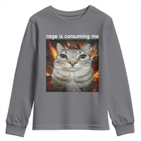 Rage Is Consuming Me Cat Youth Sweatshirt Funny Weird Humor Silly Cat Meme - Wonder Print Shop