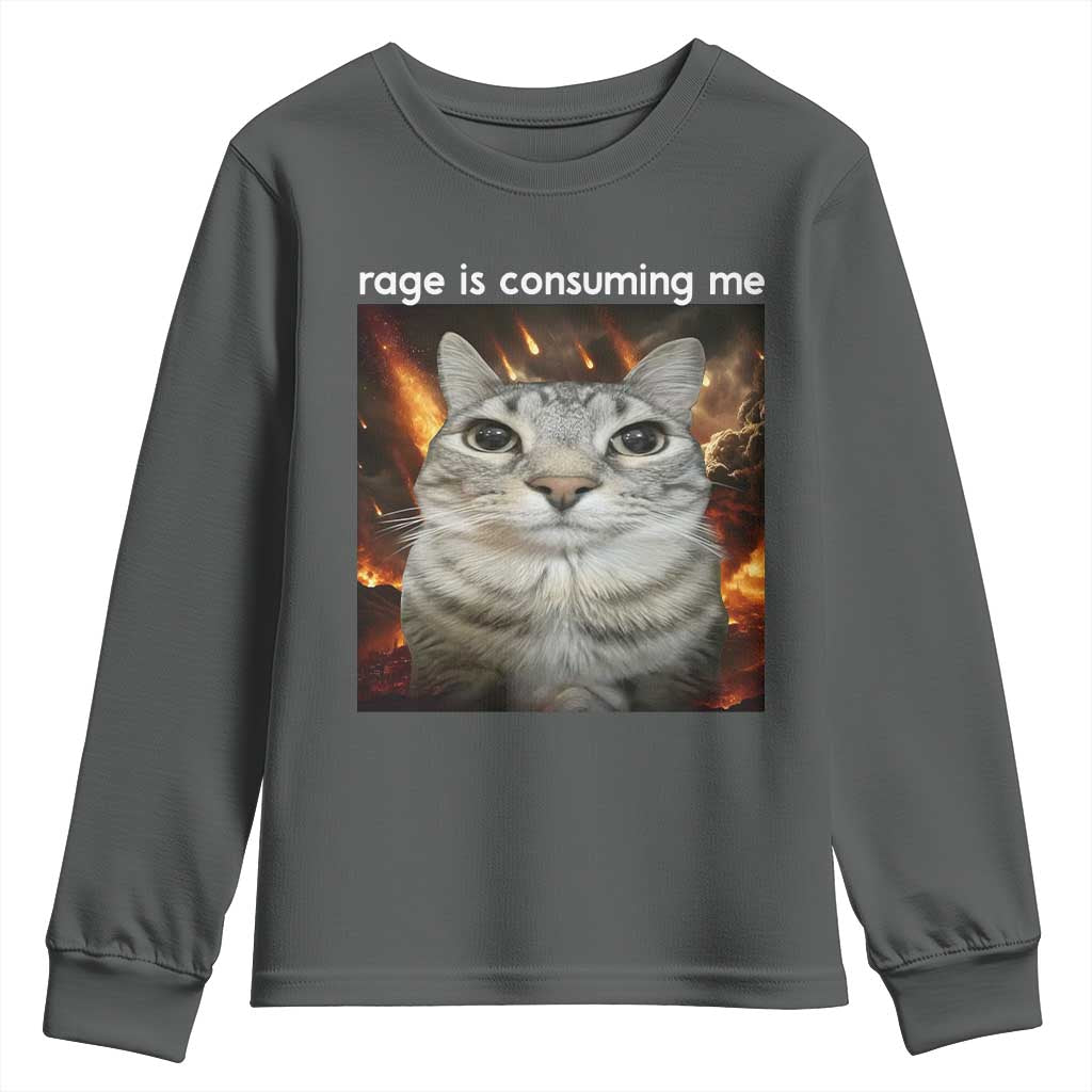 Rage Is Consuming Me Cat Youth Sweatshirt Funny Weird Humor Silly Cat Meme - Wonder Print Shop