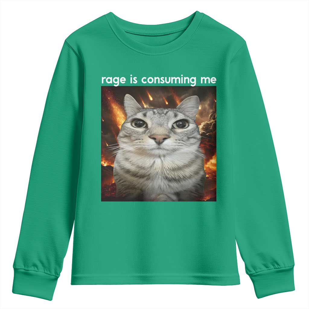 Rage Is Consuming Me Cat Youth Sweatshirt Funny Weird Humor Silly Cat Meme - Wonder Print Shop