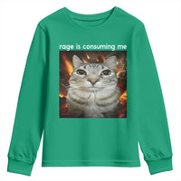Rage Is Consuming Me Cat Youth Sweatshirt Funny Weird Humor Silly Cat Meme - Wonder Print Shop