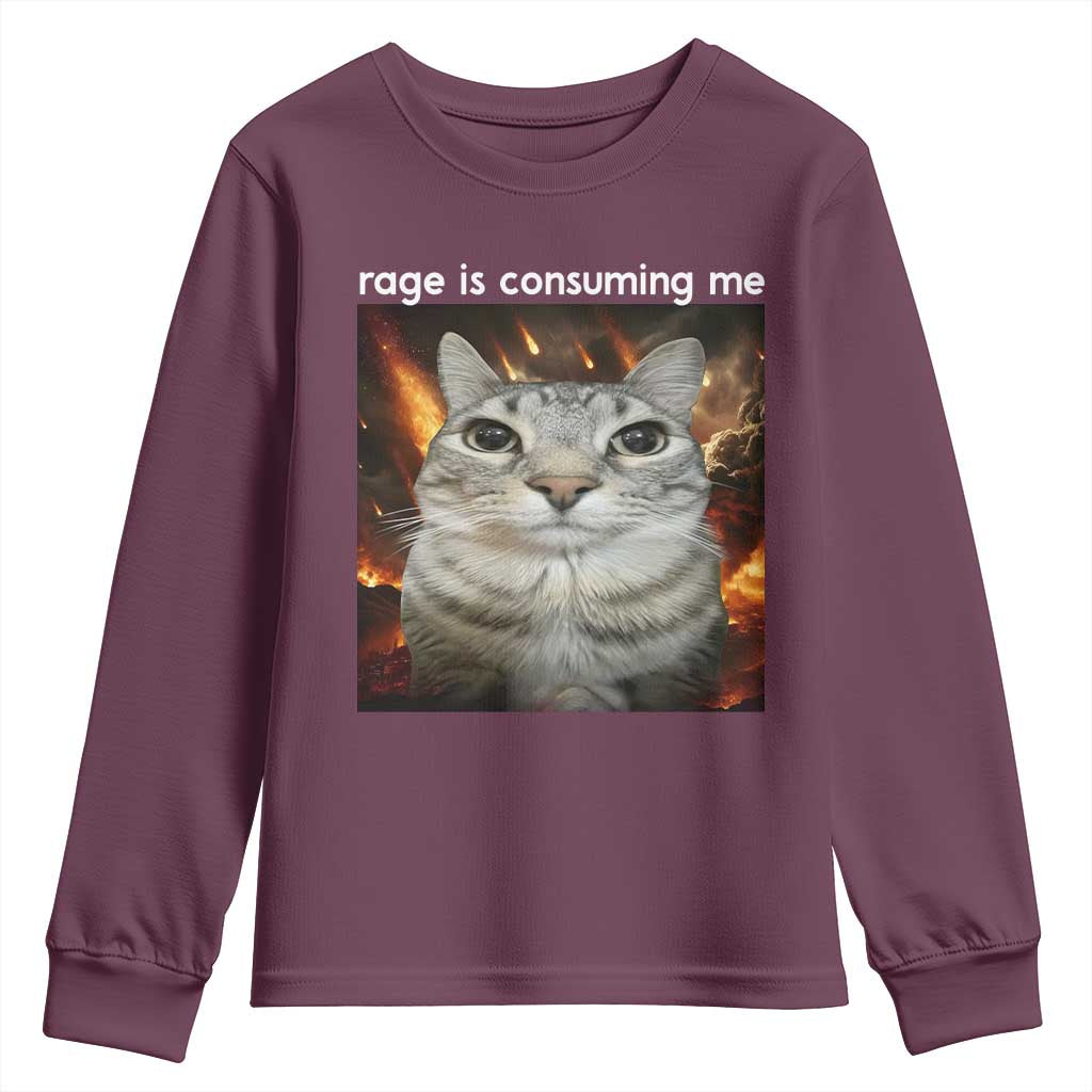 Rage Is Consuming Me Cat Youth Sweatshirt Funny Weird Humor Silly Cat Meme - Wonder Print Shop