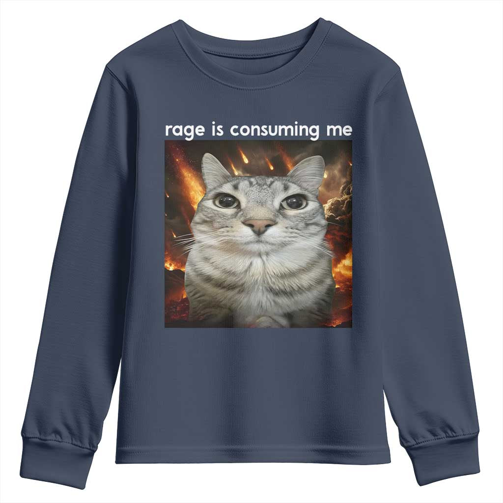Rage Is Consuming Me Cat Youth Sweatshirt Funny Weird Humor Silly Cat Meme - Wonder Print Shop