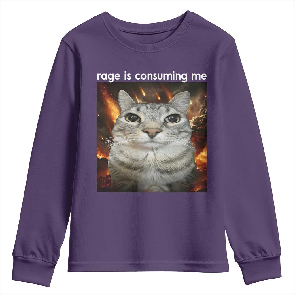 Rage Is Consuming Me Cat Youth Sweatshirt Funny Weird Humor Silly Cat Meme - Wonder Print Shop