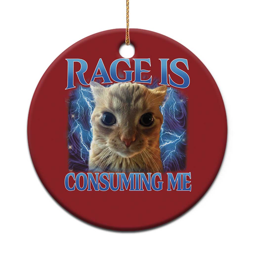 Rage Is Consuming Me Cat Meme Christmas Ornament Funny Weird Humor Cat Face Bootleg - Wonder Print Shop