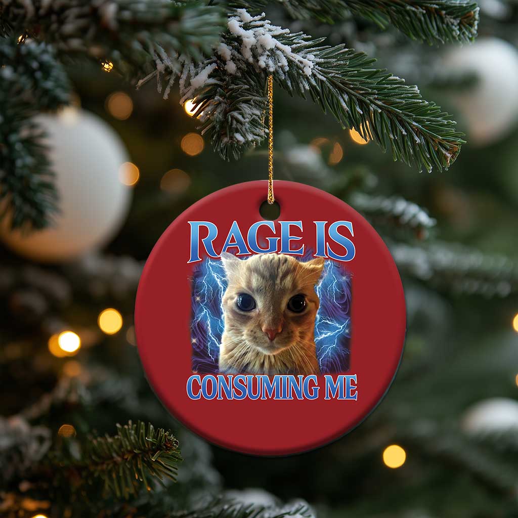 Rage Is Consuming Me Cat Meme Christmas Ornament Funny Weird Humor Cat Face Bootleg - Wonder Print Shop