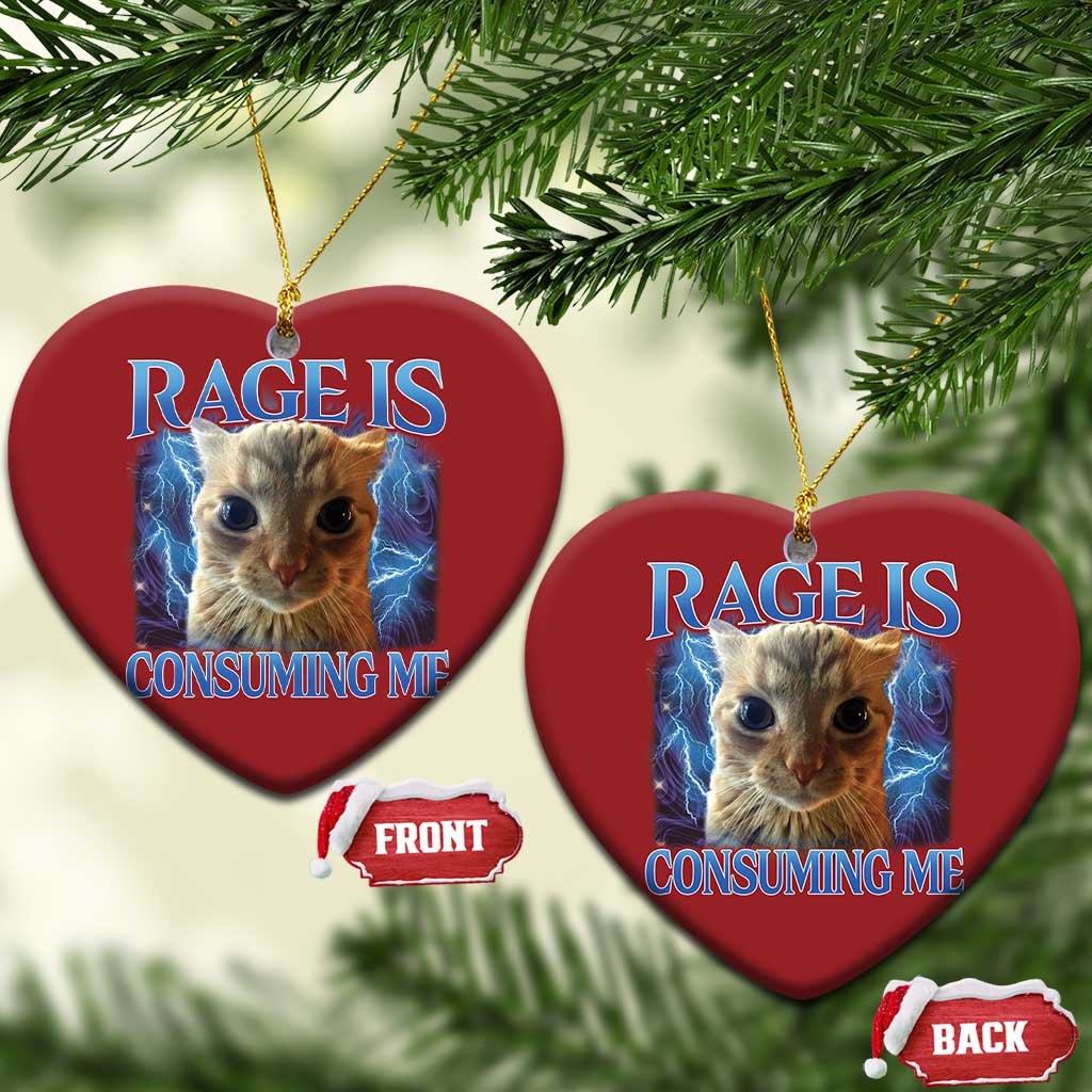 Rage Is Consuming Me Cat Meme Christmas Ornament Funny Weird Humor Cat Face Bootleg - Wonder Print Shop