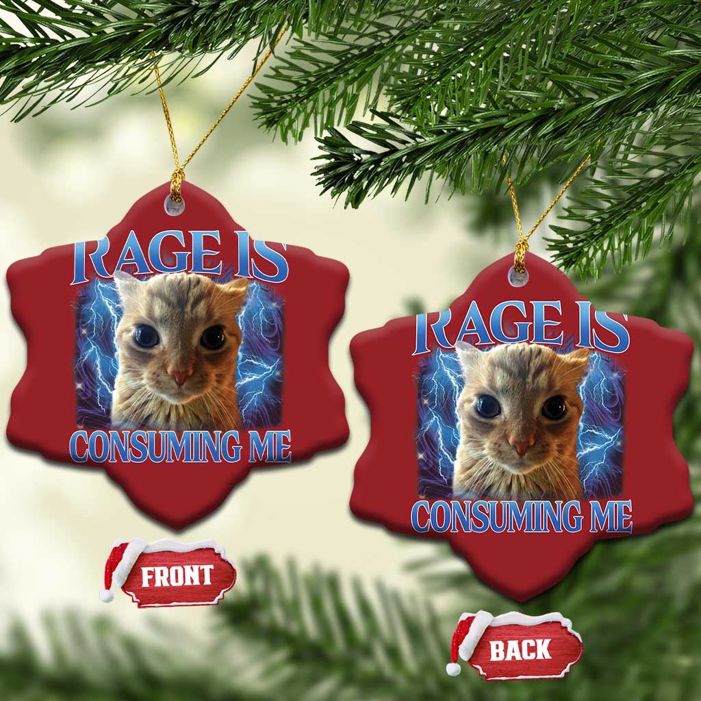 Rage Is Consuming Me Cat Meme Christmas Ornament Funny Weird Humor Cat Face Bootleg - Wonder Print Shop