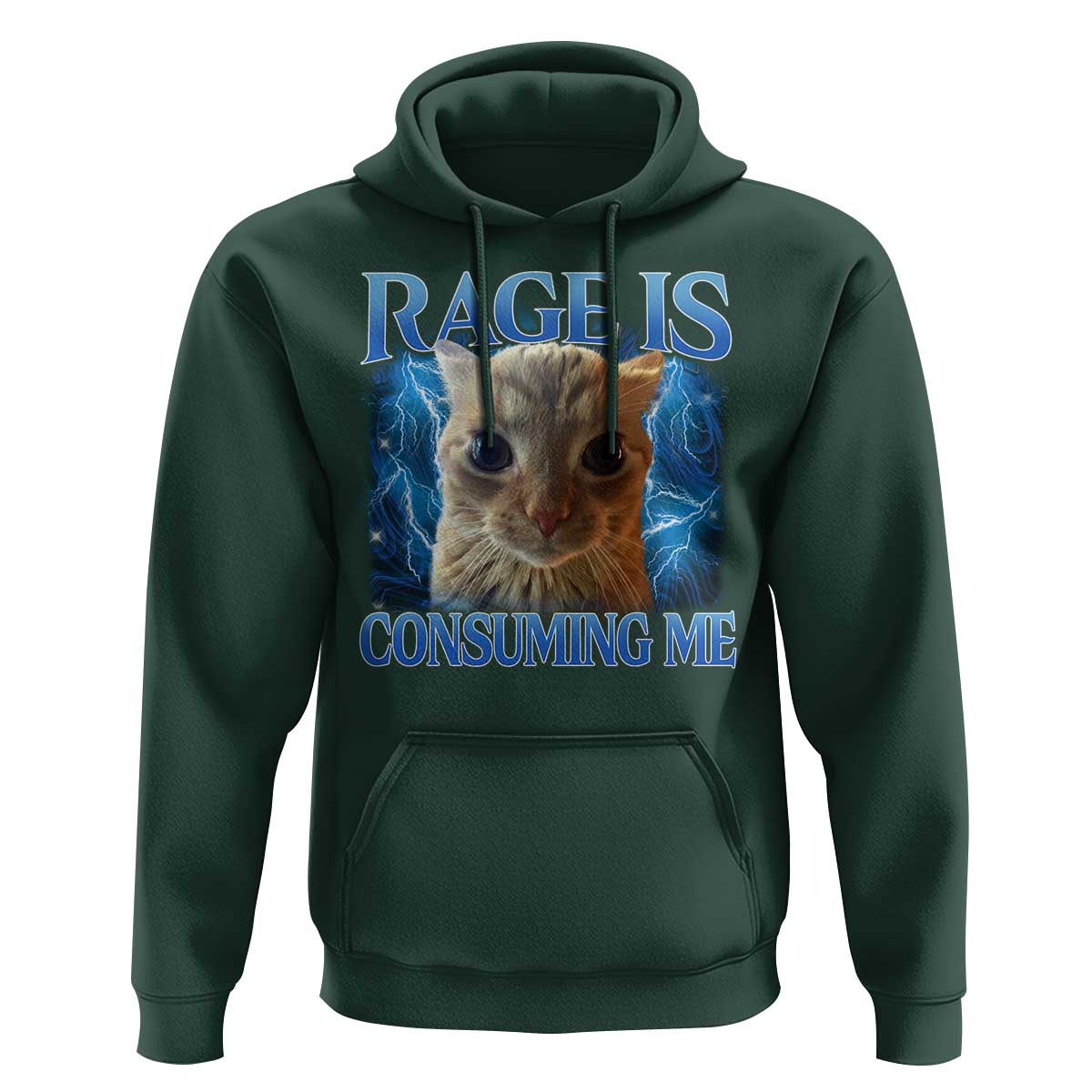 Rage Is Consuming Me Cat Meme Hoodie Funny Weird Humor Cat Face Bootleg - Wonder Print Shop