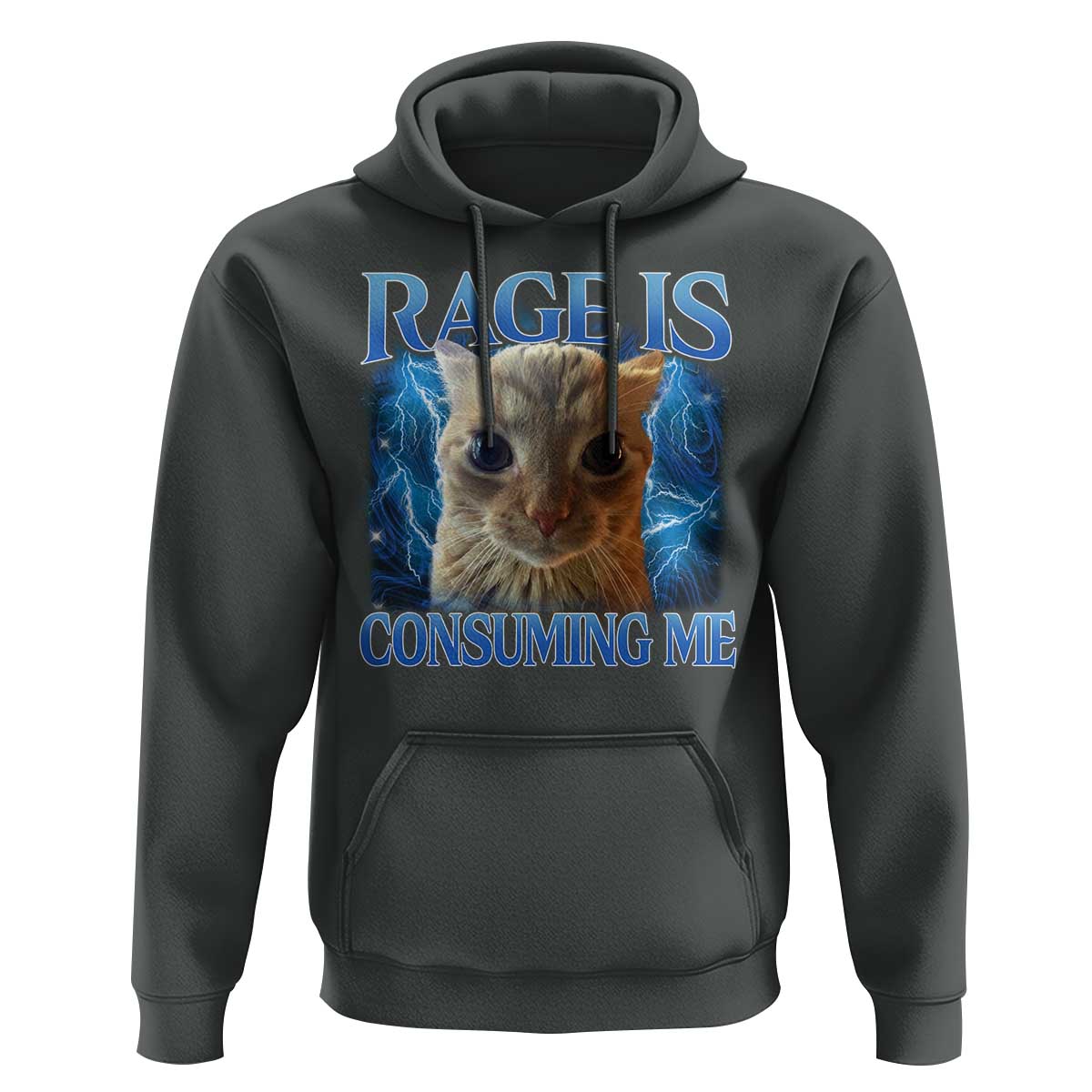Rage Is Consuming Me Cat Meme Hoodie Funny Weird Humor Cat Face Bootleg - Wonder Print Shop