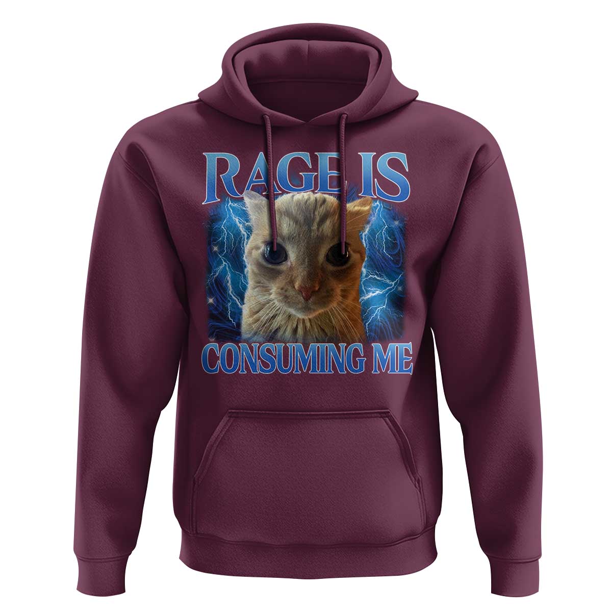 Rage Is Consuming Me Cat Meme Hoodie Funny Weird Humor Cat Face Bootleg - Wonder Print Shop