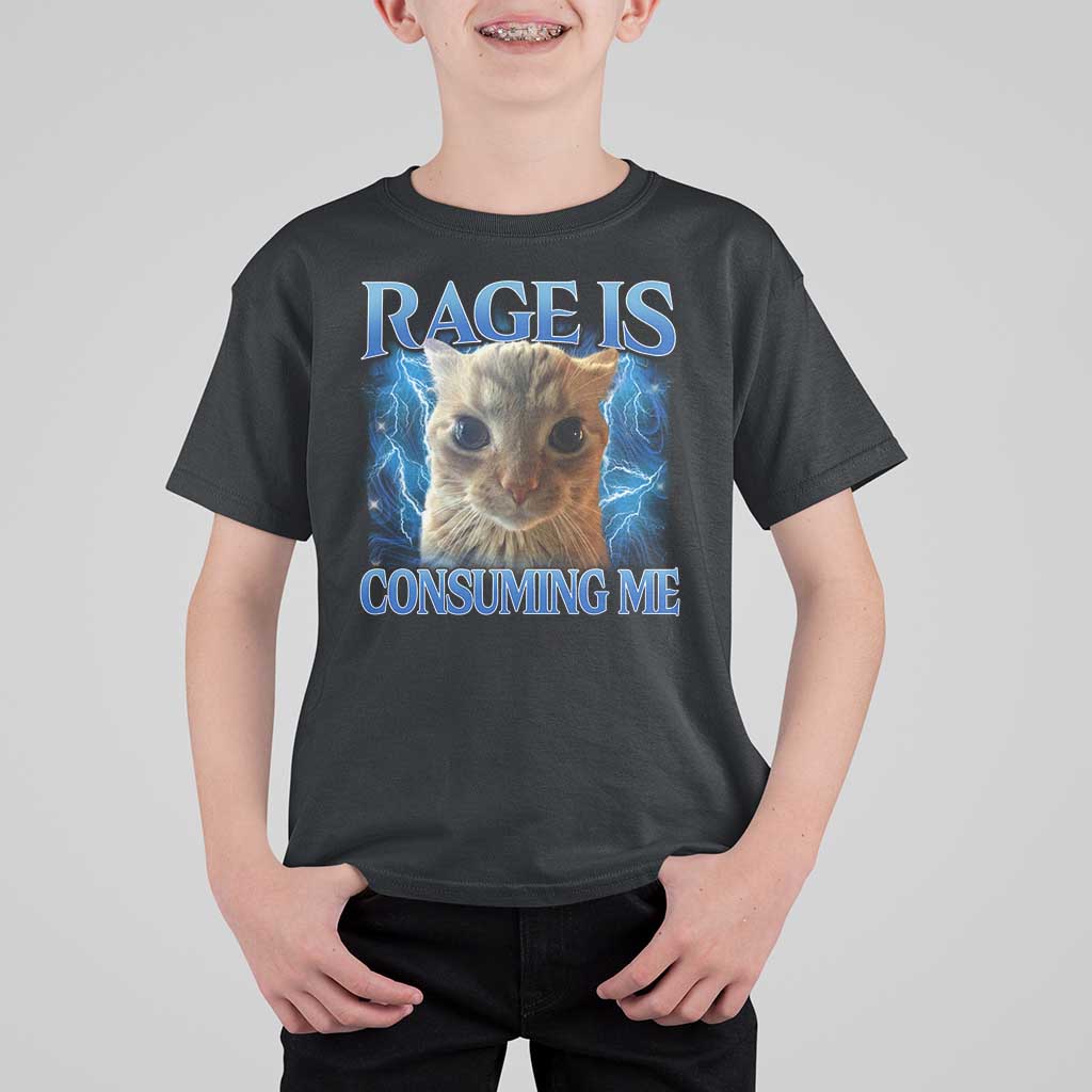 Rage Is Consuming Me Cat Meme T Shirt For Kid Funny Weird Humor Cat Face Bootleg - Wonder Print Shop