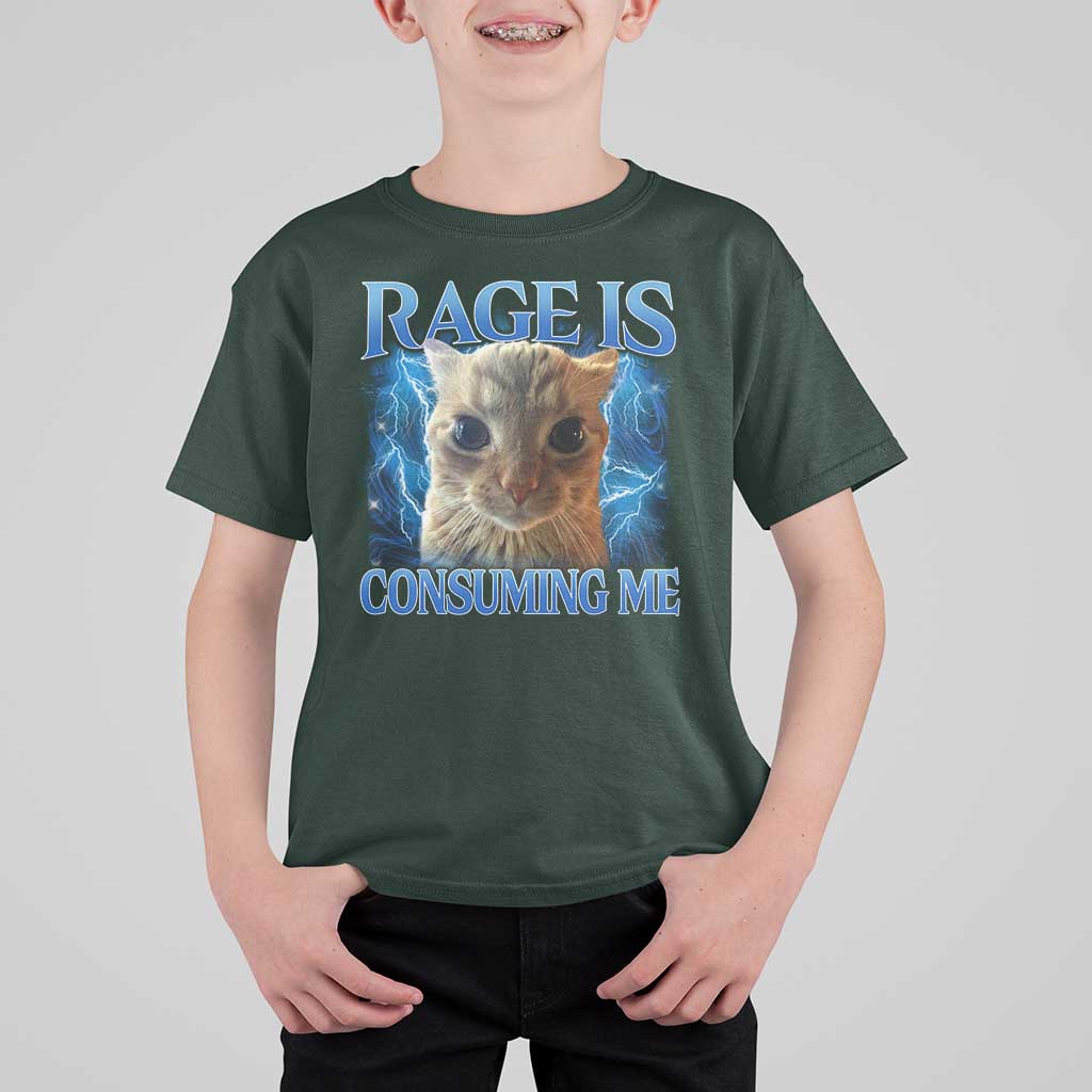 Rage Is Consuming Me Cat Meme T Shirt For Kid Funny Weird Humor Cat Face Bootleg - Wonder Print Shop