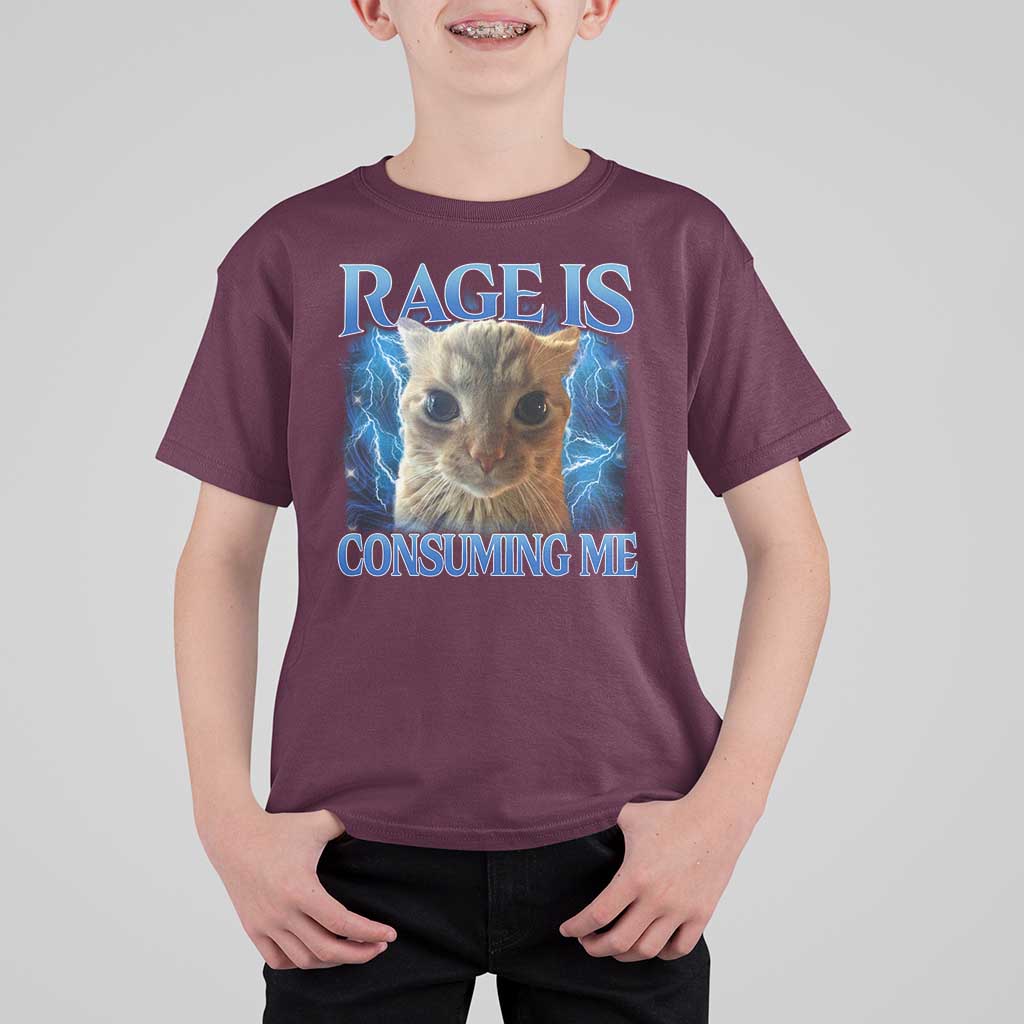 Rage Is Consuming Me Cat Meme T Shirt For Kid Funny Weird Humor Cat Face Bootleg - Wonder Print Shop