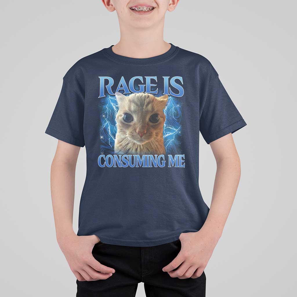Rage Is Consuming Me Cat Meme T Shirt For Kid Funny Weird Humor Cat Face Bootleg - Wonder Print Shop