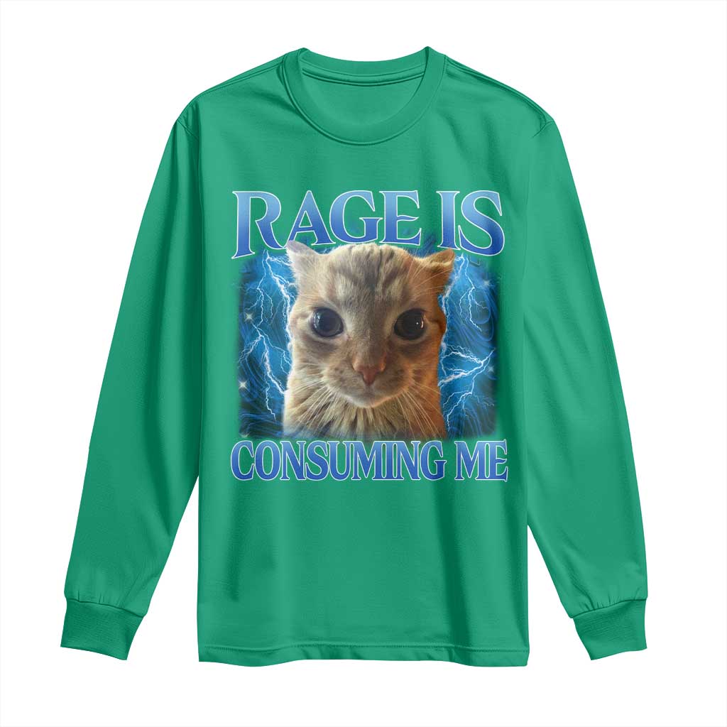 Rage Is Consuming Me Cat Meme Long Sleeve Shirt Funny Weird Humor Cat Face Bootleg - Wonder Print Shop