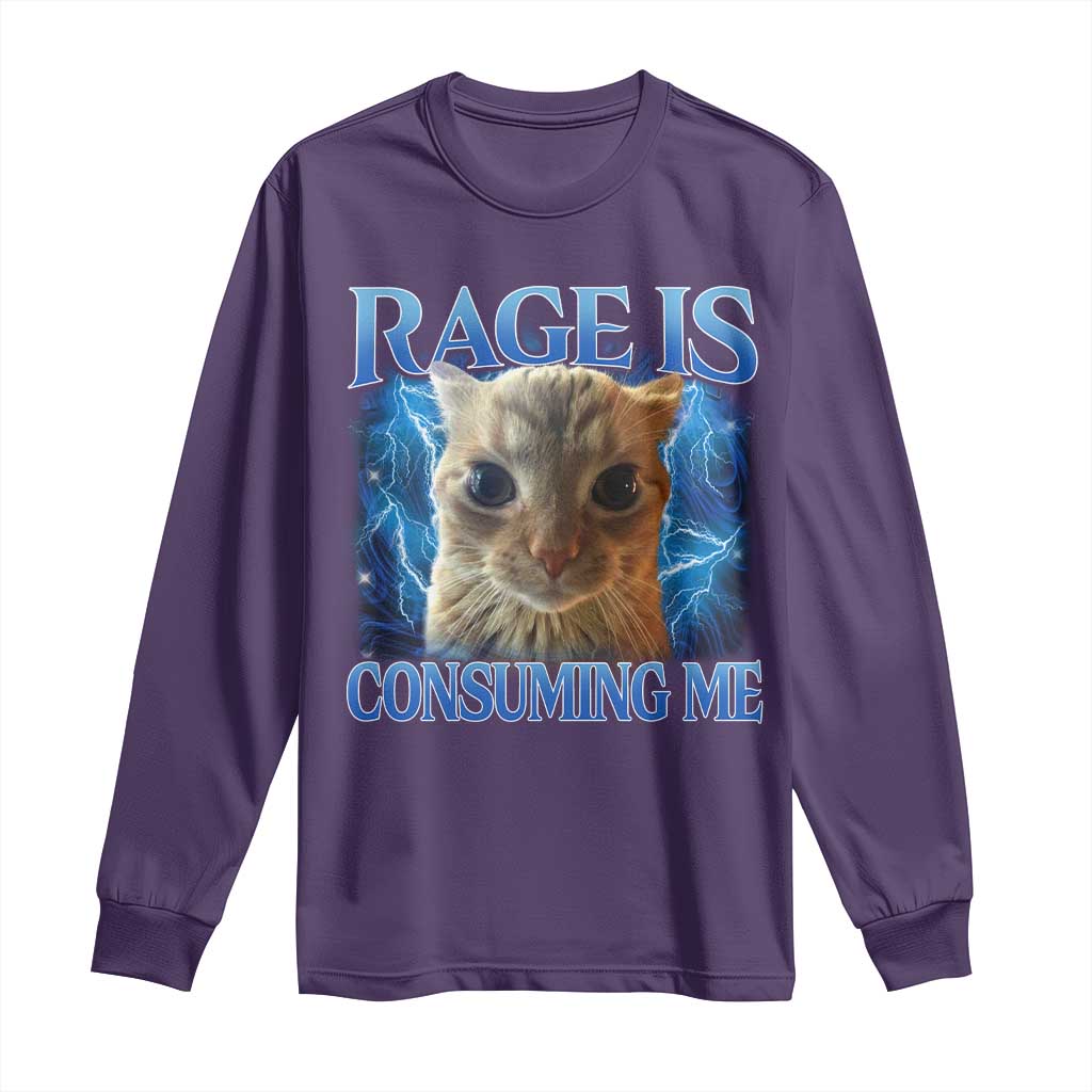 Rage Is Consuming Me Cat Meme Long Sleeve Shirt Funny Weird Humor Cat Face Bootleg - Wonder Print Shop